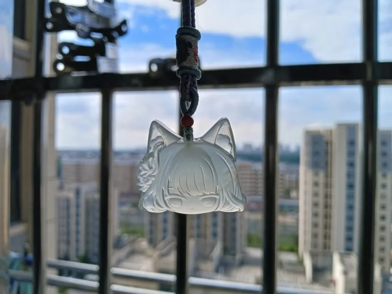 Buyer photo from Miao***