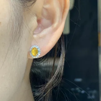 High-Icy Glowing Honey Yellow Natural Jadeite Cabochon Stud Earrings — S925 Silver · No. 39A0